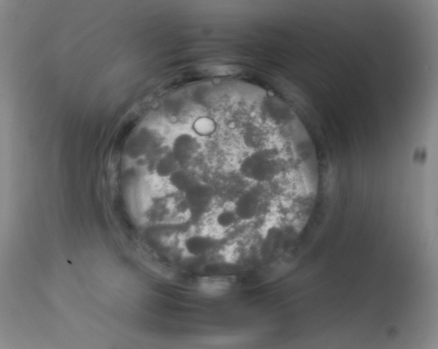 X0000113070373200910091214