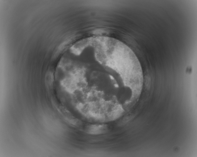 X0000113070375200910091214