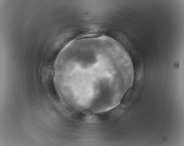 X0000113070376200910091214