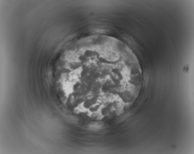X0000113070377200910091214