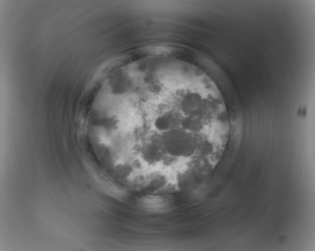 X0000113070381200910091214