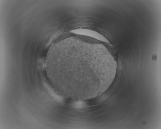 X0000113070383200910091214