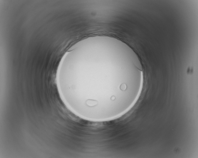 X0000113070384200910091214