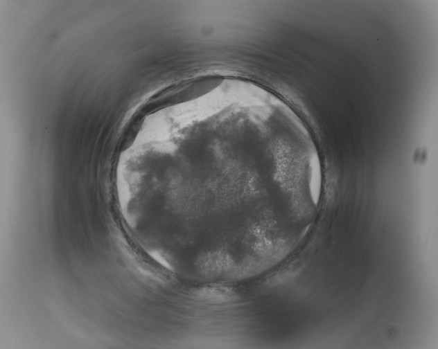X0000113070386200910091213