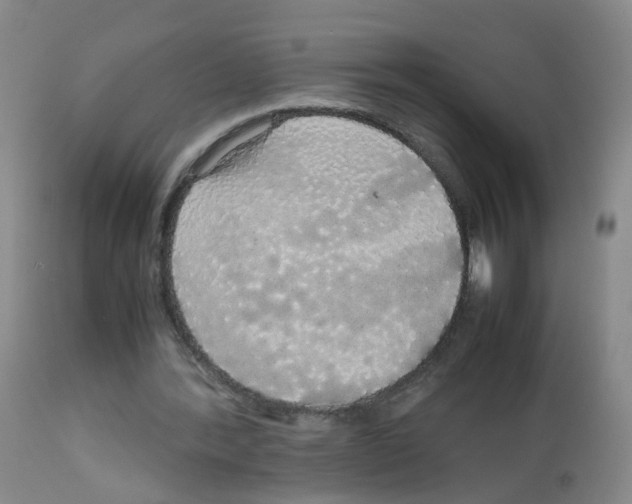 X0000113070388200910091213