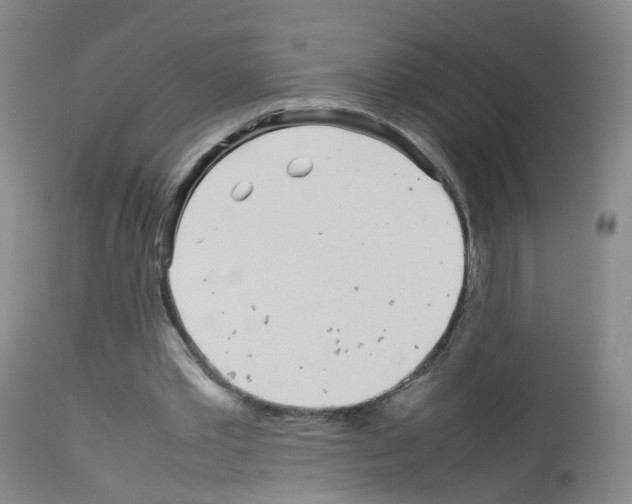 X0000113070389200910091213
