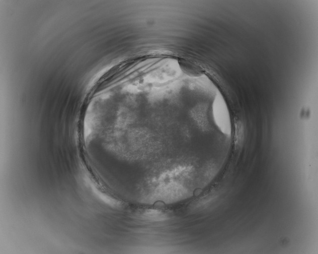X0000113070390200910091213