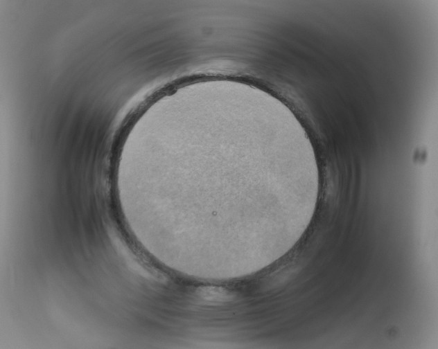 X0000113070392200910091213