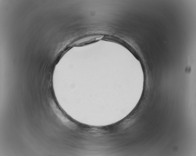 X0000113070393200910091213