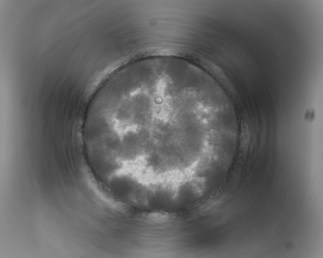 X0000113070394200910091213