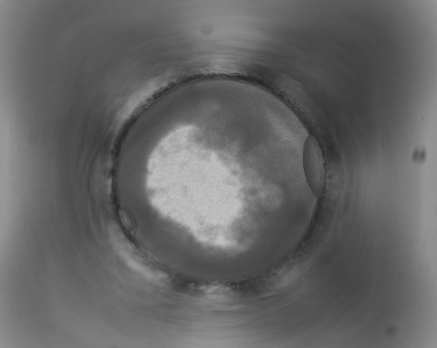 X0000113070395200910091213