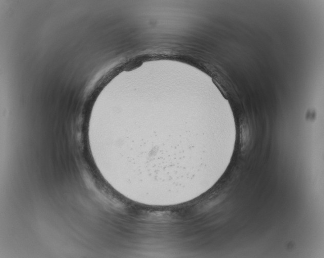 X0000113070396200910091213