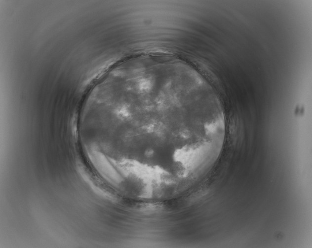 X0000113070398200910091213