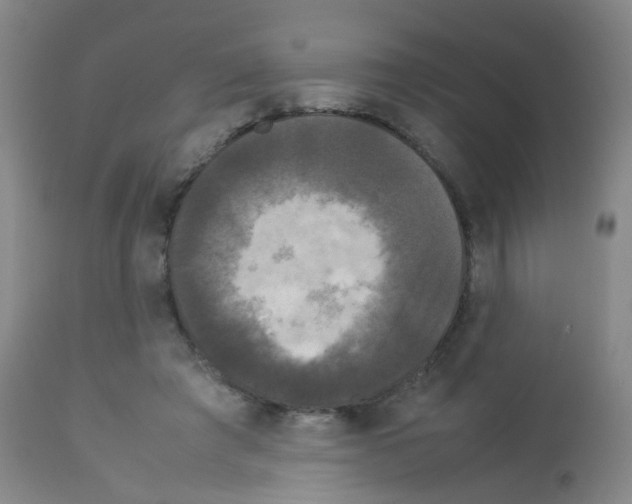 X0000113070401200910091213