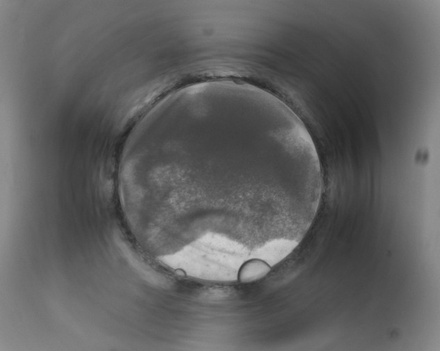 X0000113070402200910091213