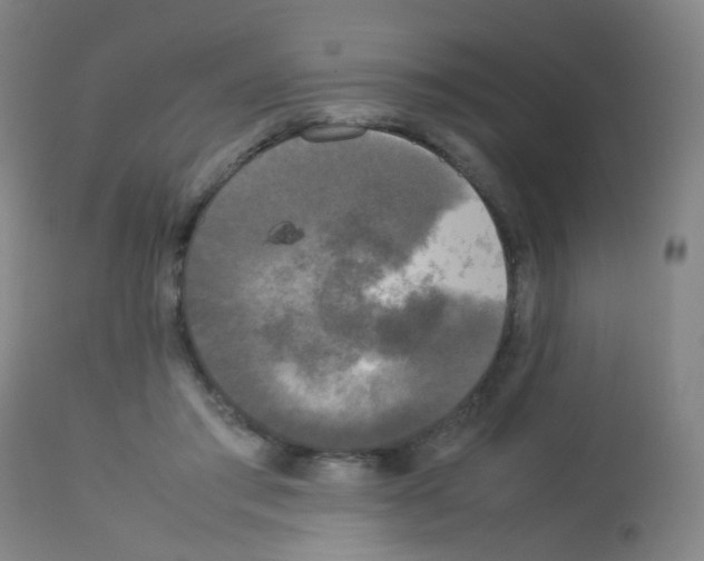 X0000113070405200910091213