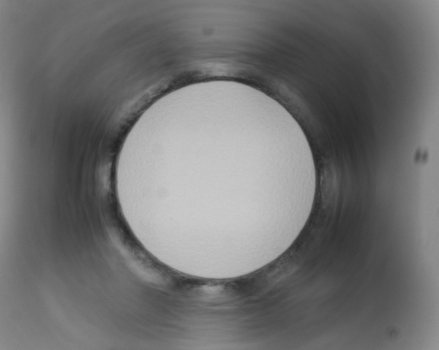 X0000113070406200910091213