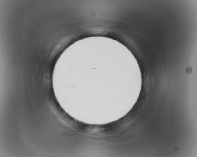 X0000113070407200910091213