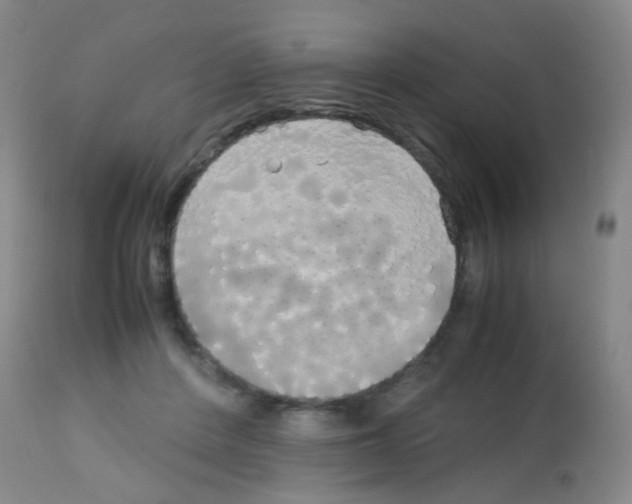 X0000113070408200910091213