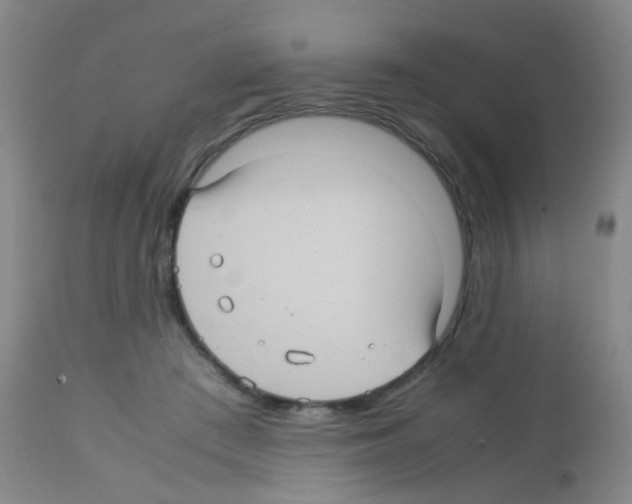 X0000113070409200910091213