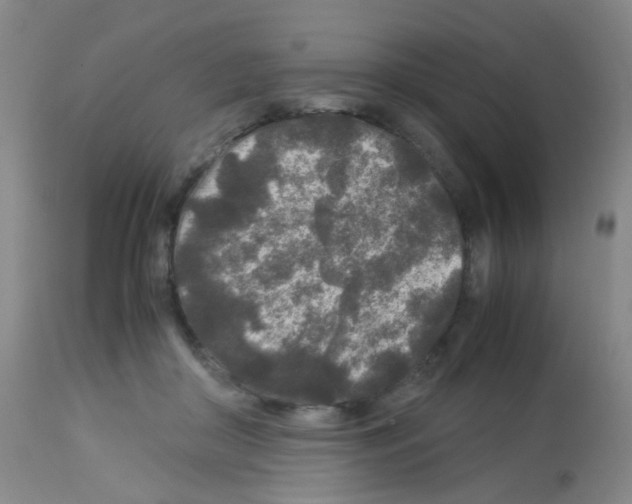 X0000113070410200910091213