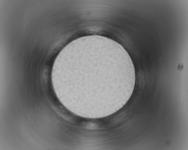 X0000113070412200910091213