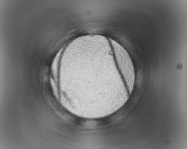 X0000113070413200910091213