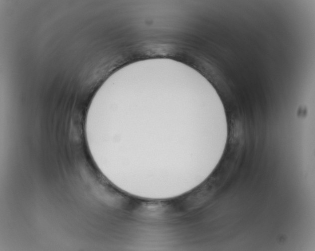 X0000113070414200910091213