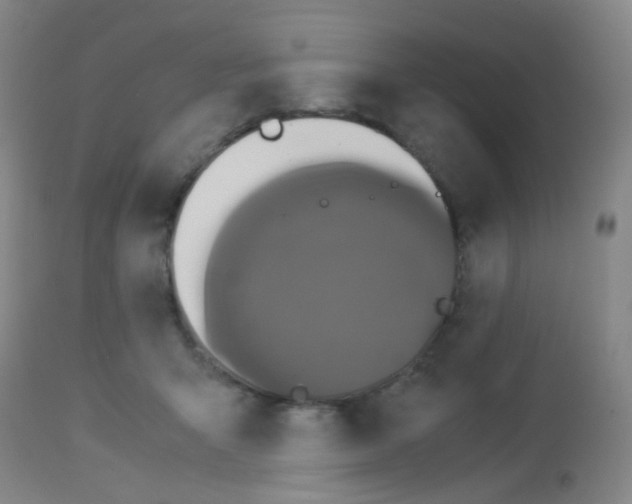 X0000113070415200910091213