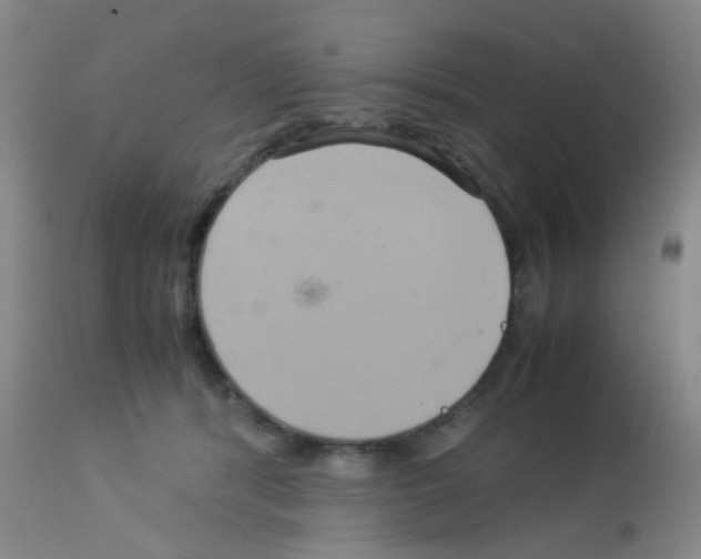 X0000113070416200910091213