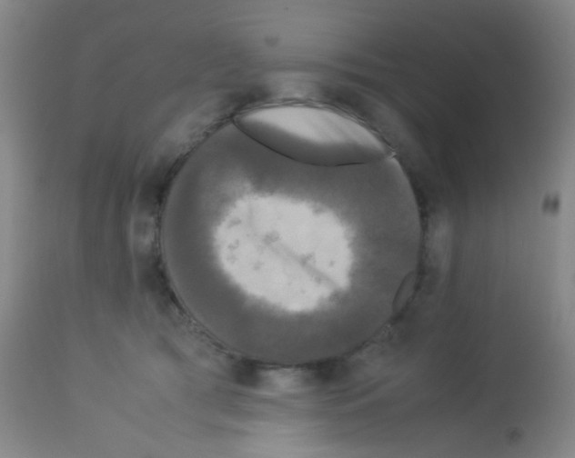 X0000113070417200910091213