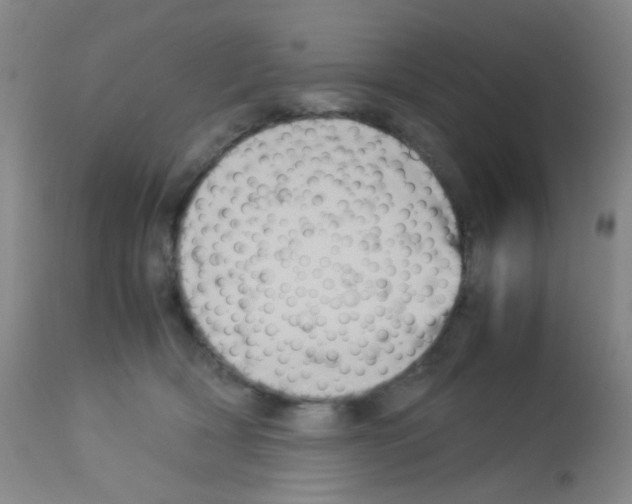 X0000113070418200910091213