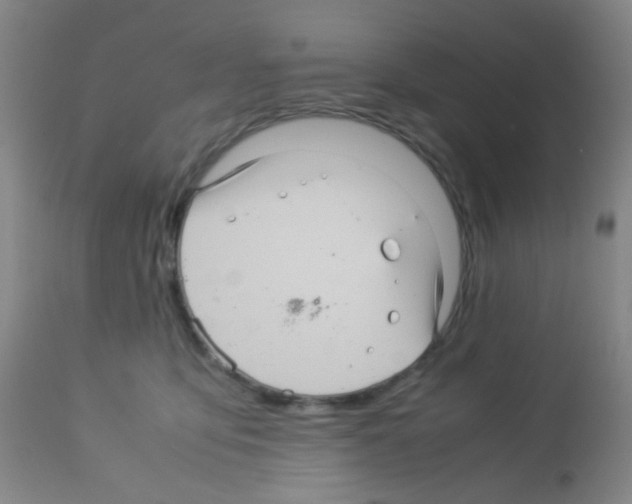 X0000113070419200910091213
