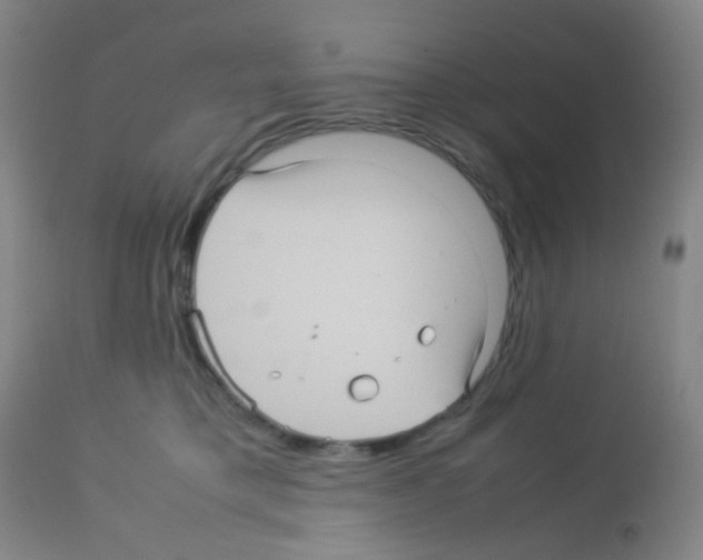 X0000113070421200910091213