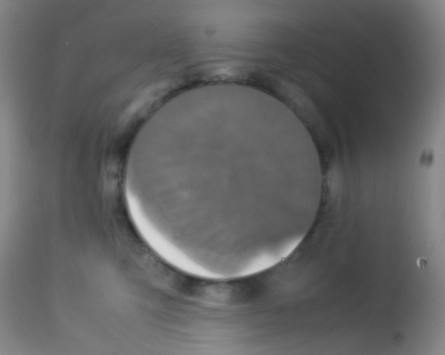 X0000113070423200910091213