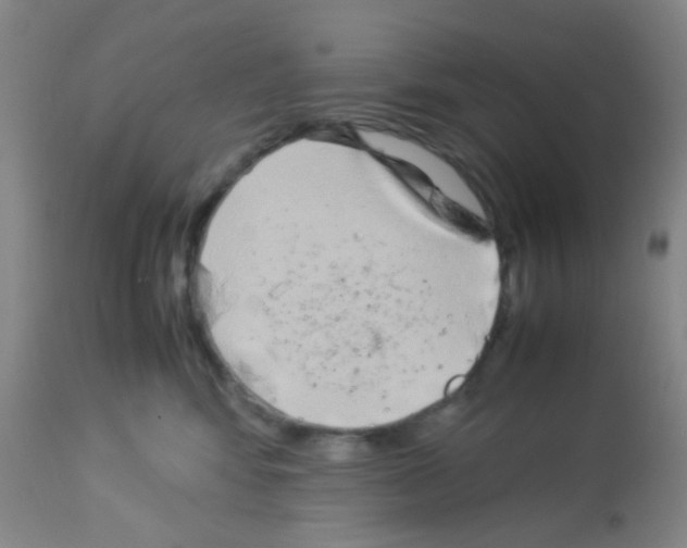 X0000113070424200910091212