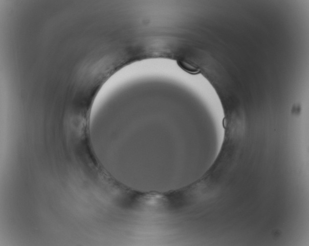 X0000113070427200910091212