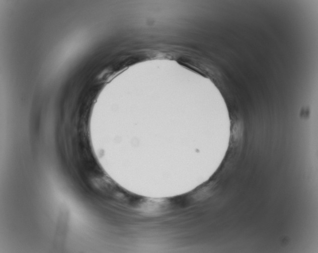 X0000113070429200910091212