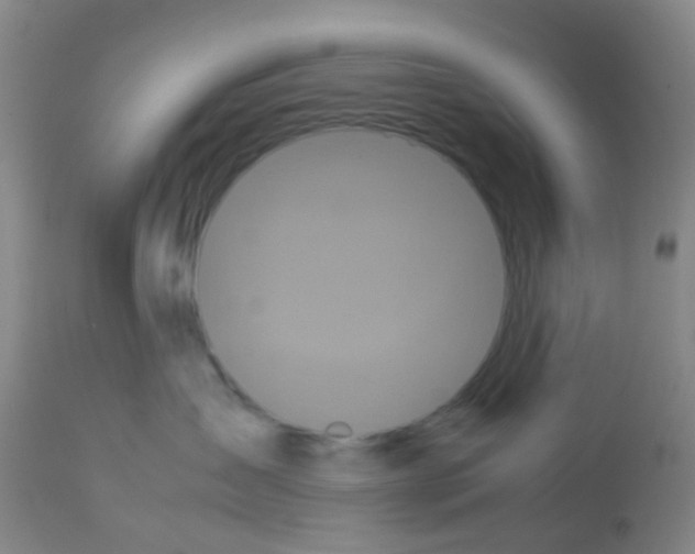 X0000113070431200910091212