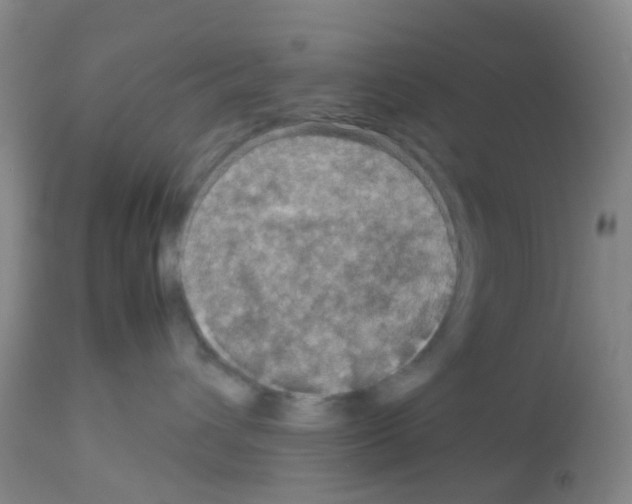 X0000113070432200910091212