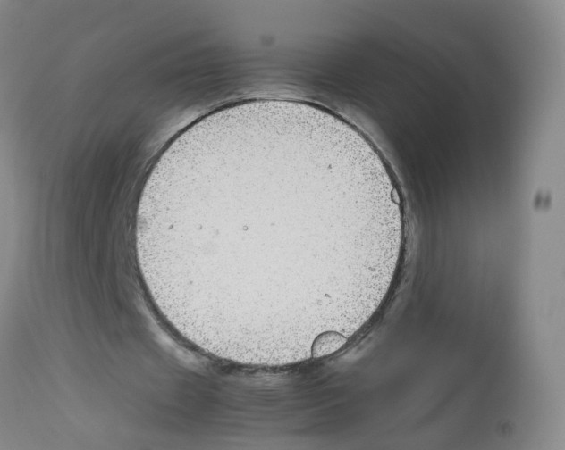 X0000113070433200910091212