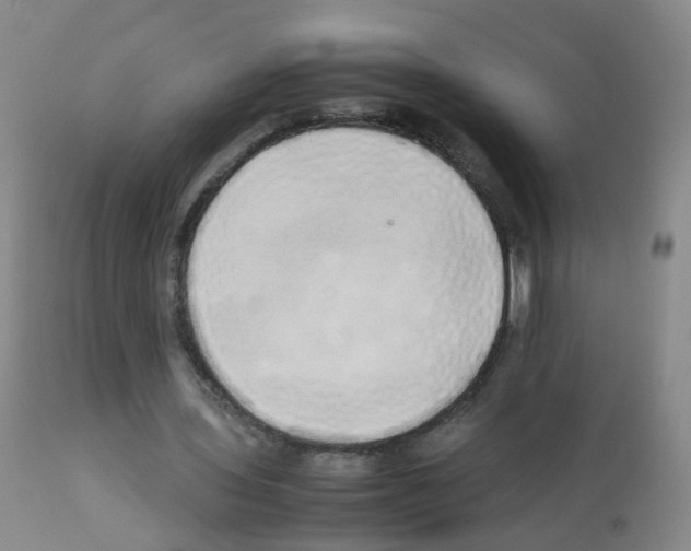 X0000113070435200910091212