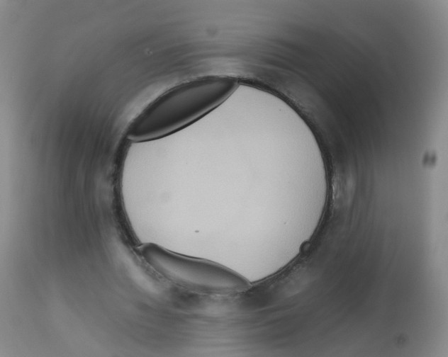 X0000113070436200910091212
