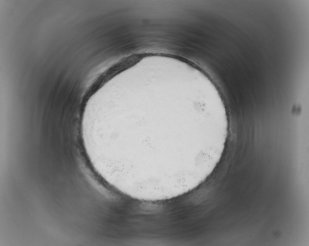 X0000113070437200910091212