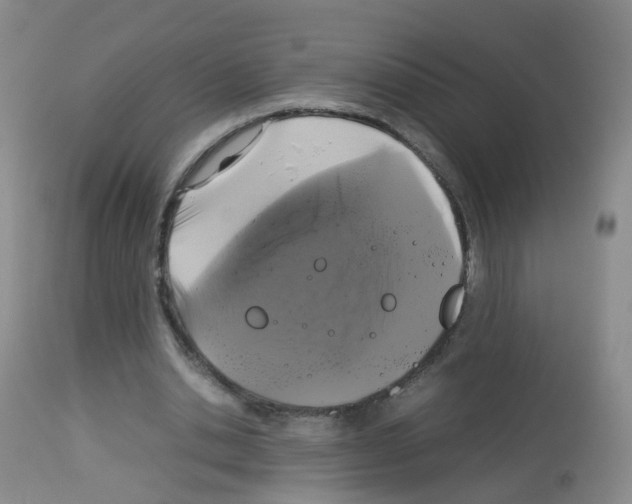 X0000113070438200910091212