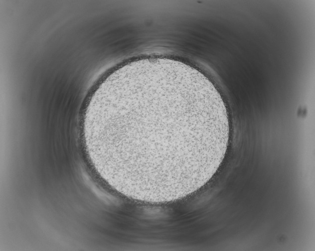 X0000113070439200910091212