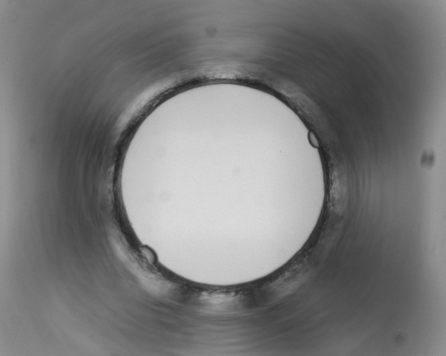 X0000113070440200910091212