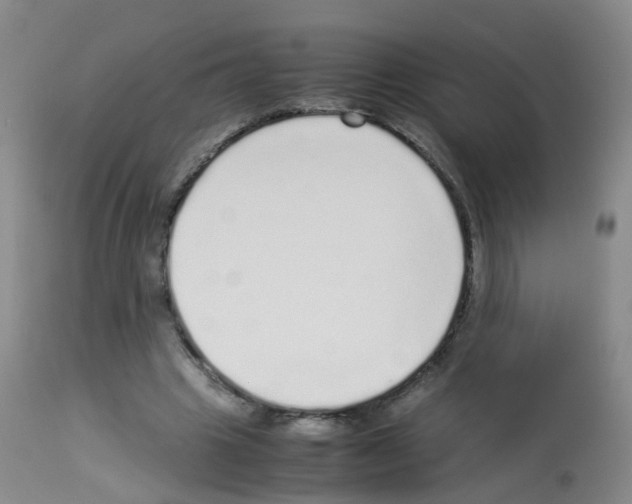 X0000113070441200910091212