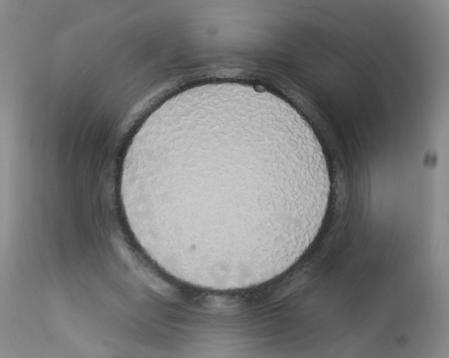 X0000113070442200910091212