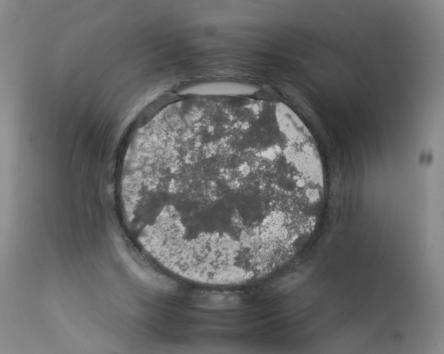 X0000113070443200910091212
